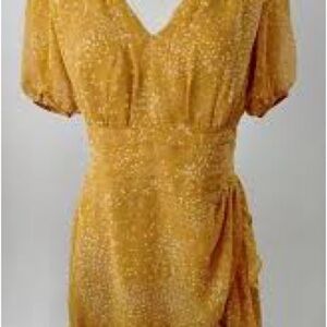 Express Gold Puff Sleeve chiffon Ruched Mini Dress